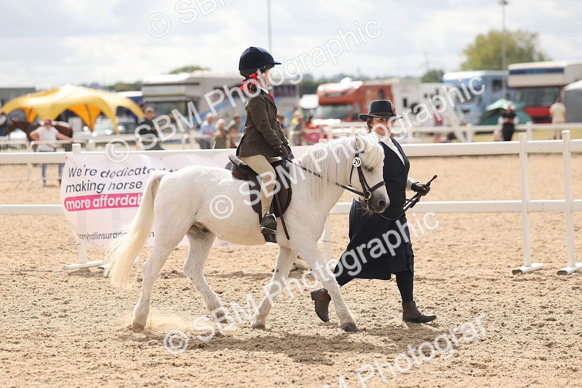 SBM_15767 - Class 309 - Lead Rein Pony