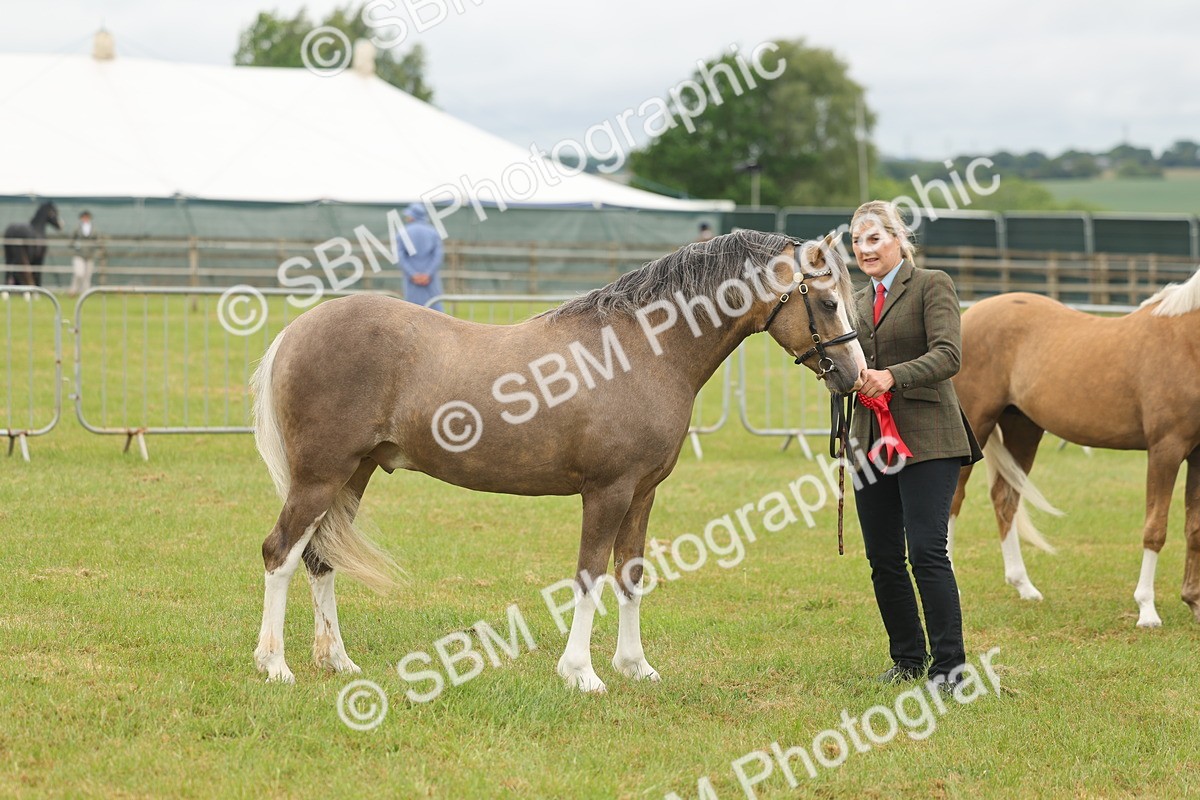 SBM_02186 - Class 50-57 - M&M Welsh Pony In Hand