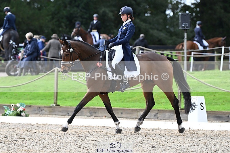 231019-122142-02734 - 044-COOLEY.ON.THE.CARDS-Charlotte.Cooke-DR