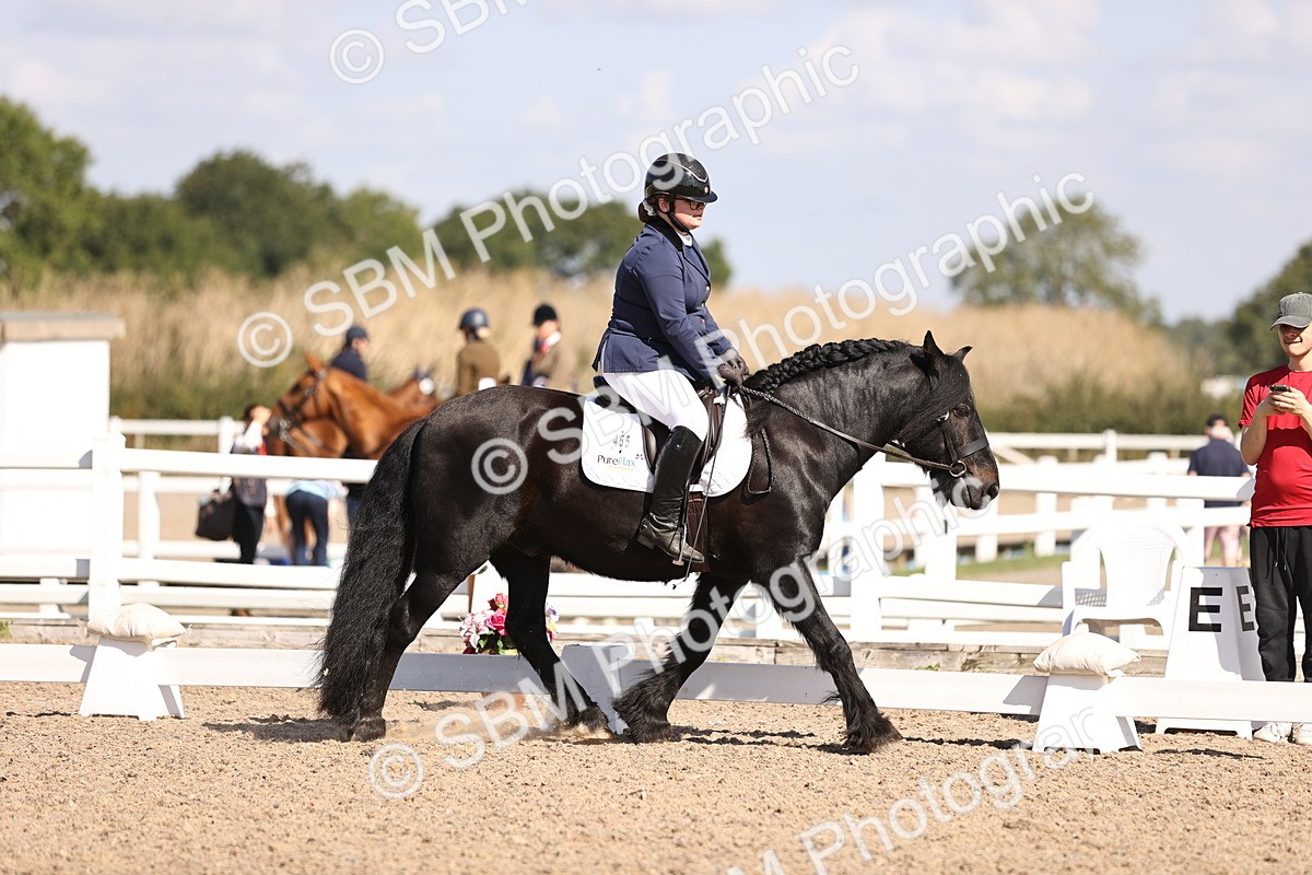 SBM_03533 - CLass 35 Intro 3