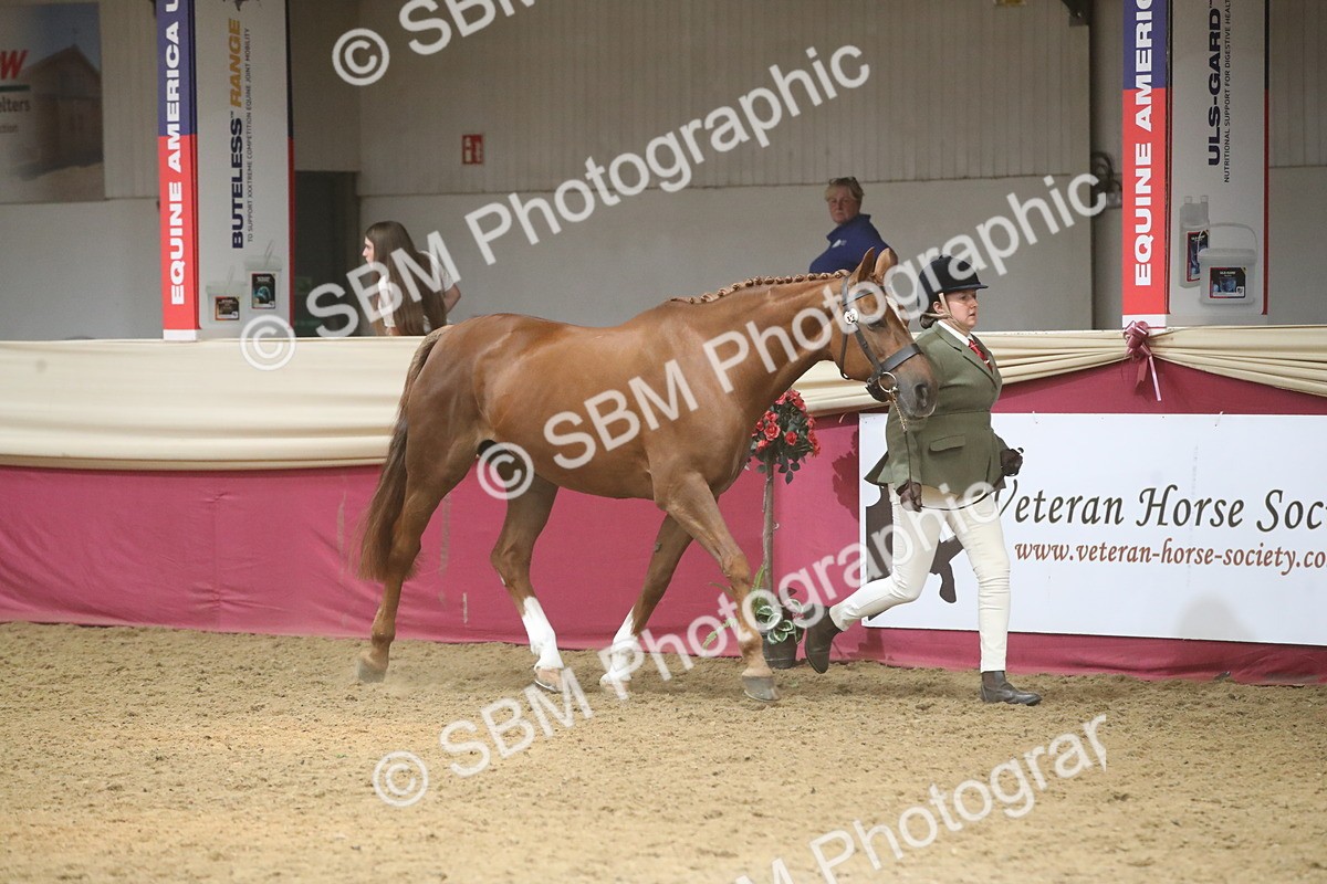 SBM_05489 - Class 9R - Regional IH Pre-Vet