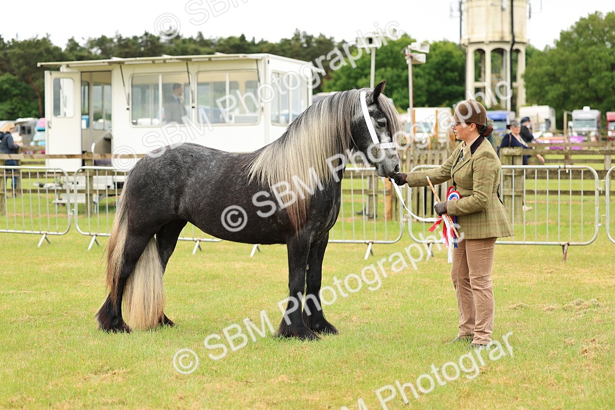 SBM_00632 - Class 58-67 - M&M Non Welsh Pony In hand