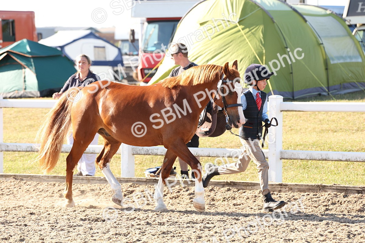 SBM_11652 - Class 203 - Young Handler 11 to 16 years