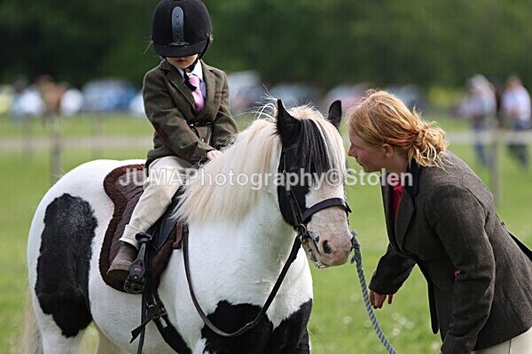 IMG_2324 - Working Hunter