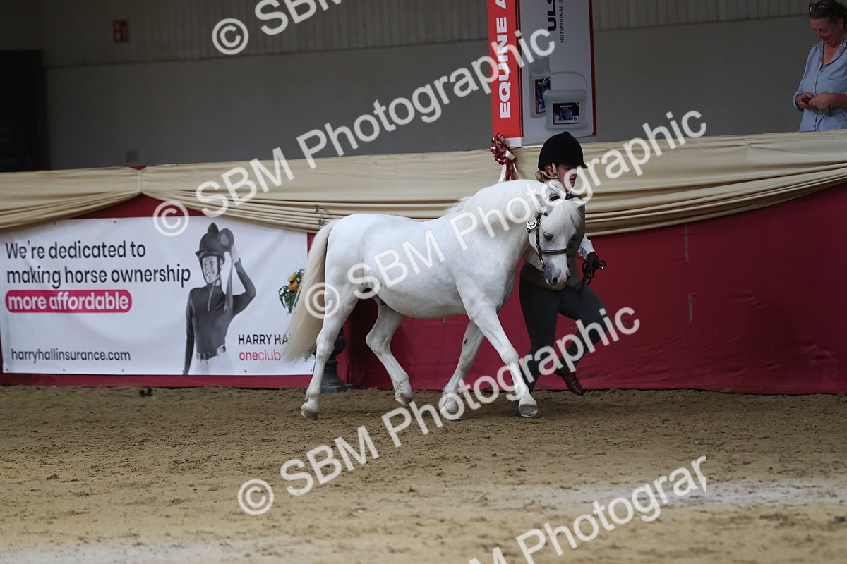SBM_04926 - Class 8R- Regional -IH Veteran