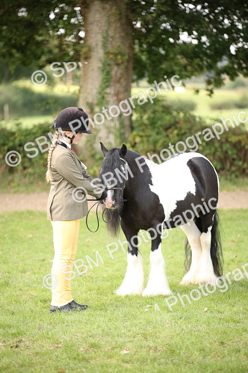 SBM_62293 - S55 - Traditional Cob In Hand