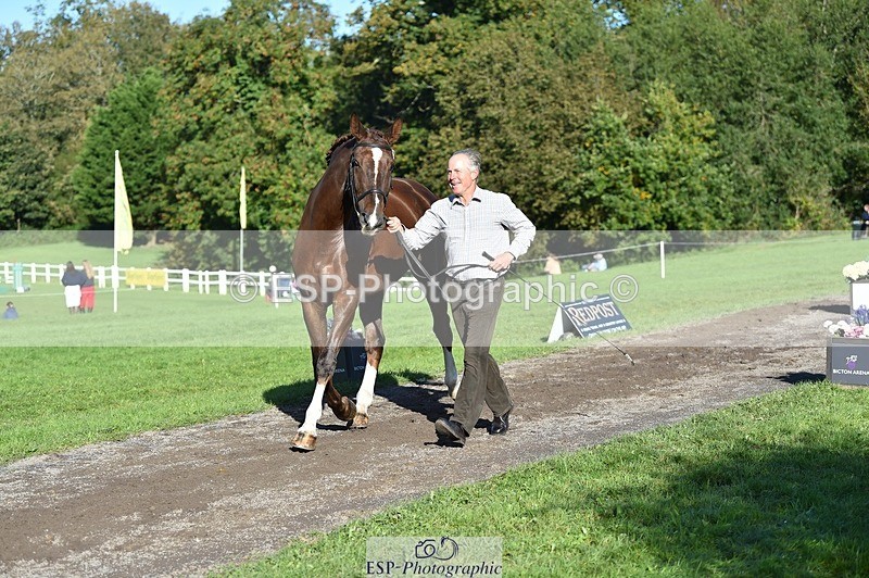 231022-104956-23525 - 447-STALLONE-Andrew.Winterton-TrotUp+SJ