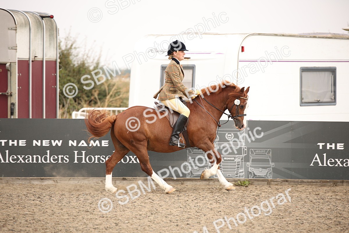 SBM_12255 - Class 405a - M&M Working Veteran 50cm (15-19)