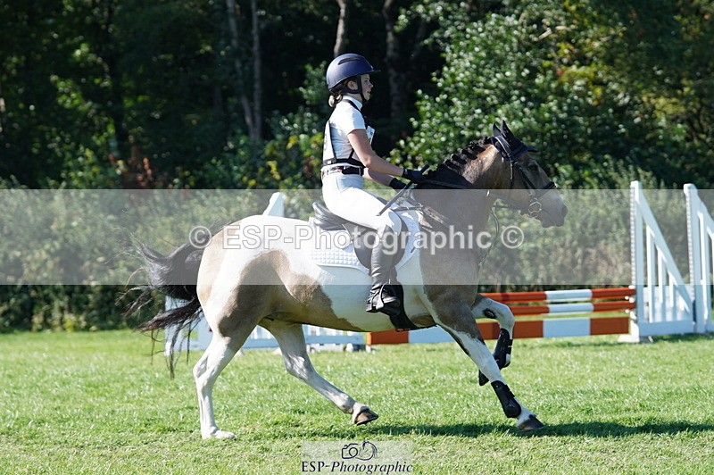 240811A-165722-06484 - 419-