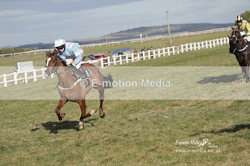 PtP 260223 1208 - South & West Wilts Point-to-Point Larkhill 26/02/23