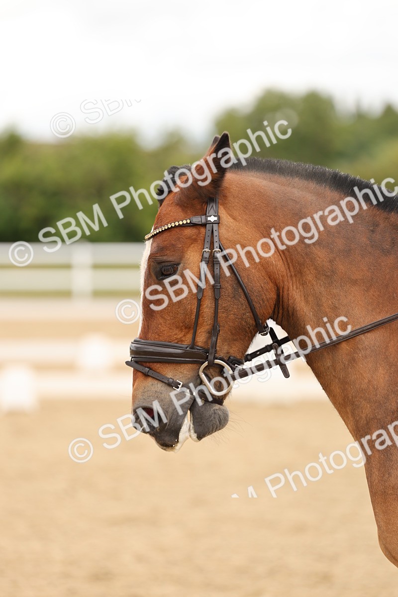 SBM_003453 - Class 6a - Novice 5 - 13.17-14.21