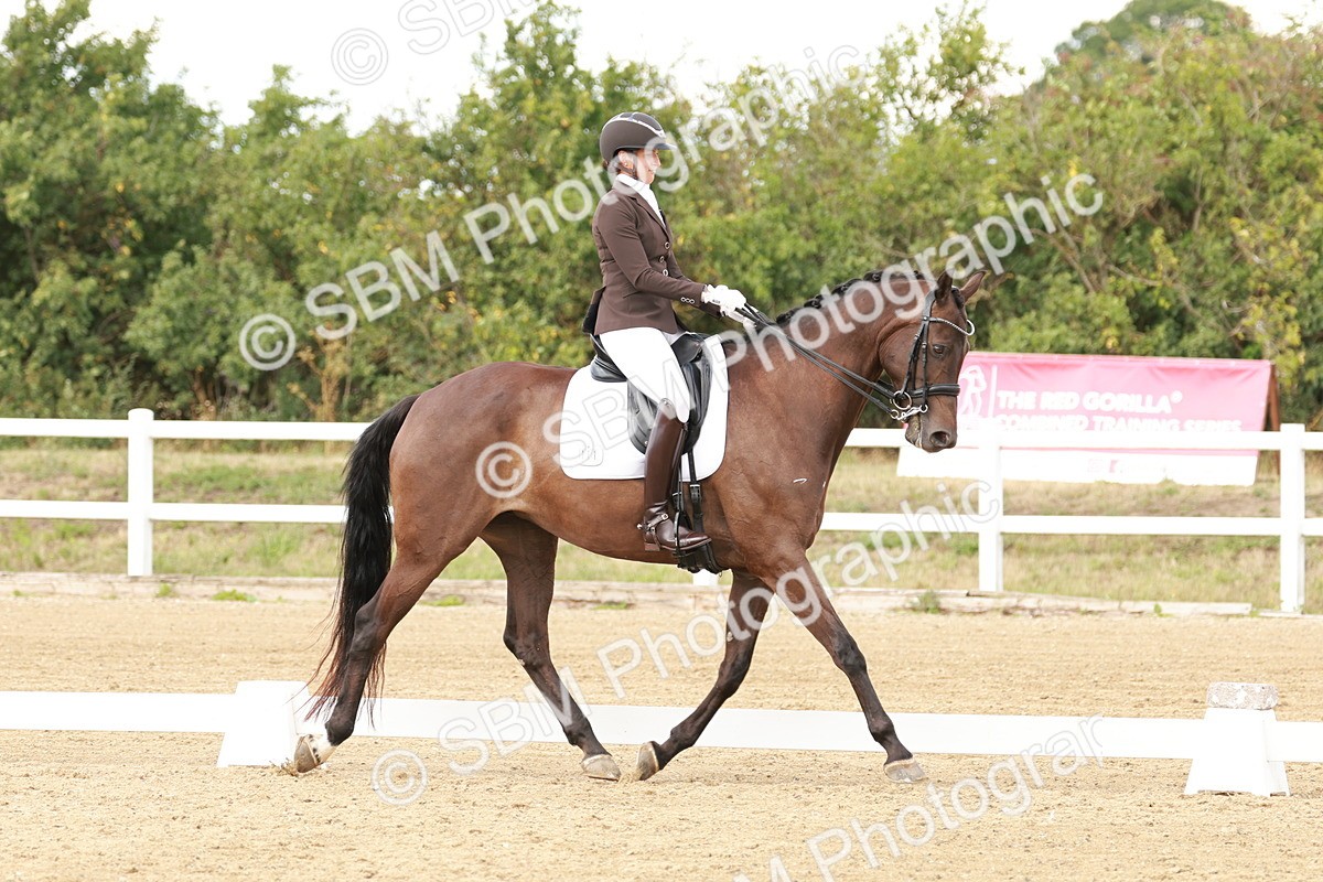 SBM_002383 - Class 11 - Medium 6