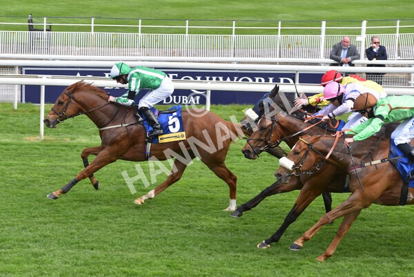 yr12052021r2-45 - Race 2 2.10pm Churchill Tyres Stakes