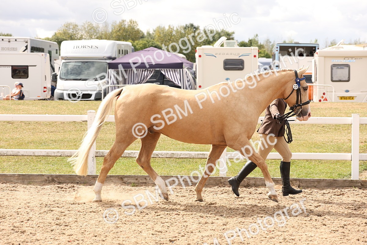 SBM_14661 - Class 208 - IH Veteran Horse