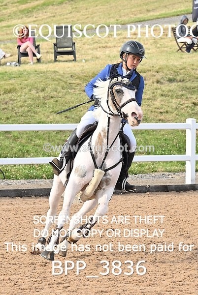 BPP_3836 - FRI CLASS 21 Pony Foxhunter/1.10m Open