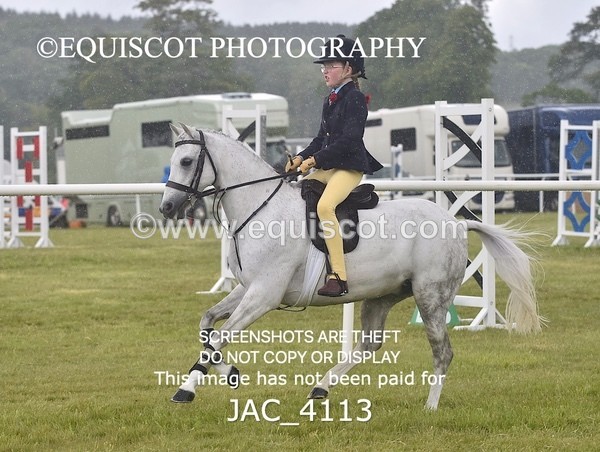 JAC_4113 - 40CM WORKING HUNTER