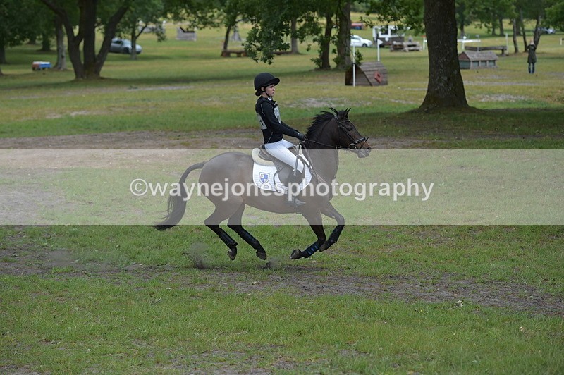 NGP_9222 - Time 12:54 to 1309