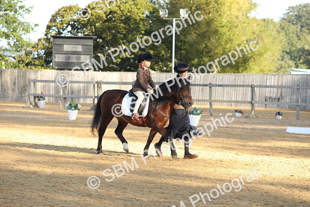 SBM_33664 - D26 - Starers - Lead Rein