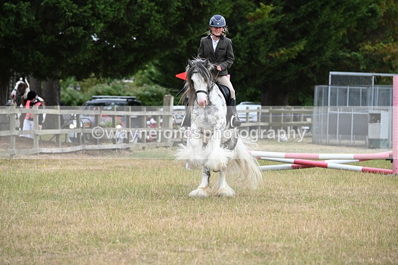 WJ6_9697 - Class 12 Minimus Jumping 45cm