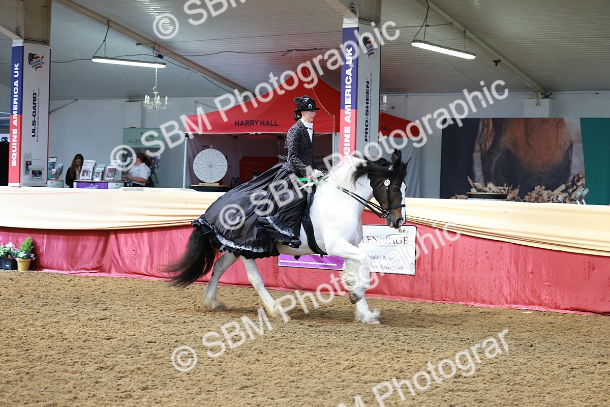 SBM_13842 - Class 106 - Ridden Costume -Astride Adult (15-19)