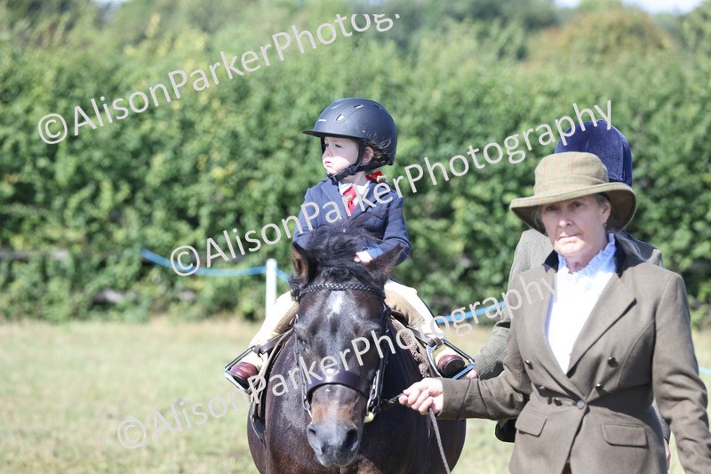 20250831-3121 - Class 24 - Absolute Beginners Pony