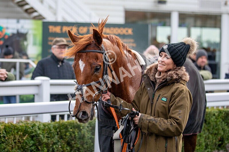 171224-Race 4-Wise Eagle-0254 - Race 4