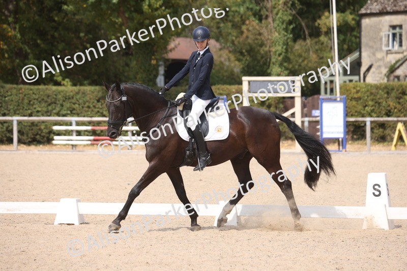 20260816-1084 - Class 4 - Novice 6