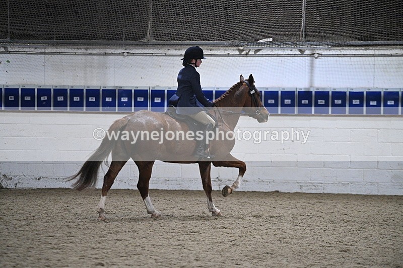 WJ7_4118 - Class 17 Ridden Cob