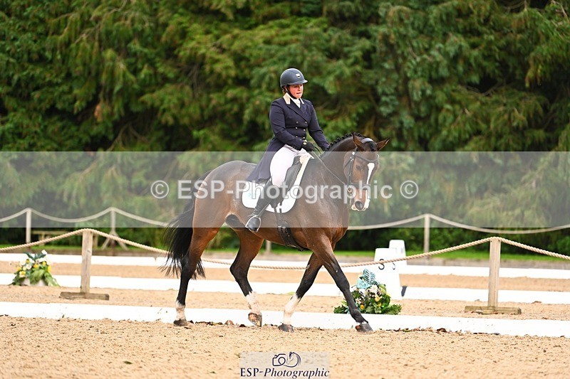 231020-164055-12346 - 317-THREEROCKS.PEGGY.BAWN-Harriet.Dickin-DR