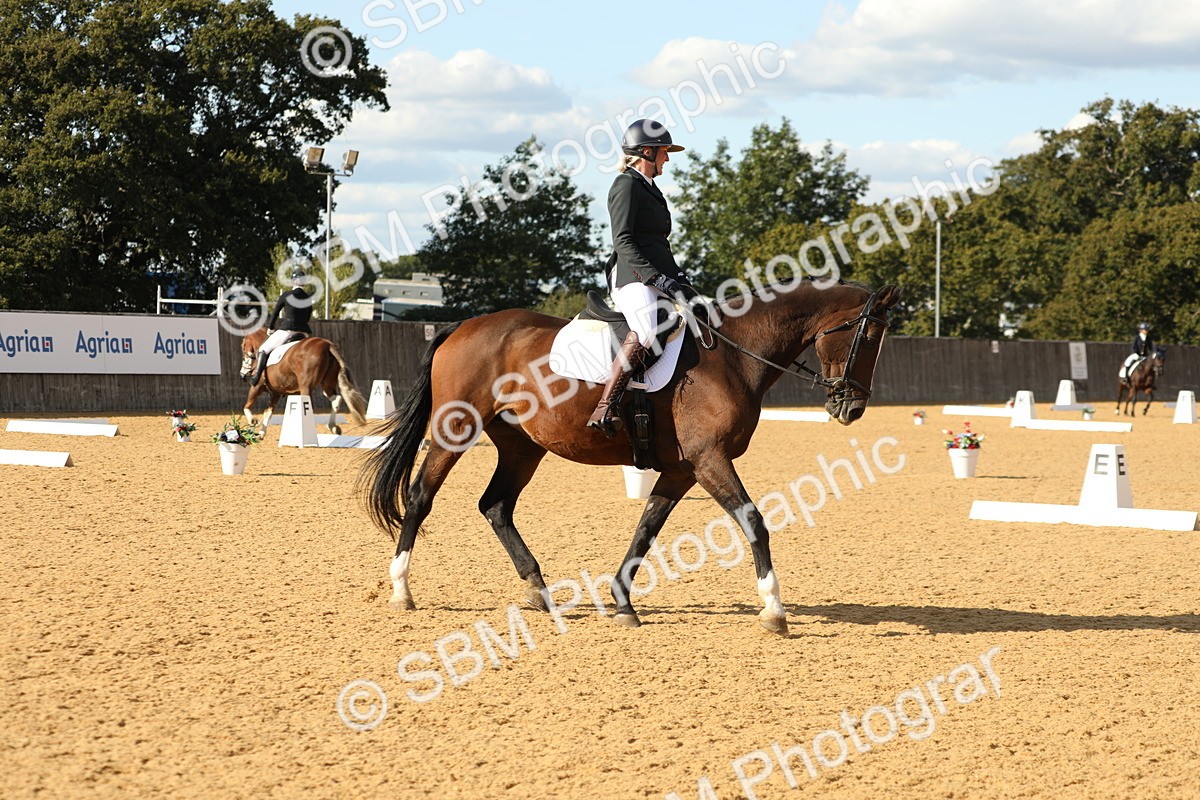 SBM_26748 - D17 - Grand Tour Championship - Novice 27