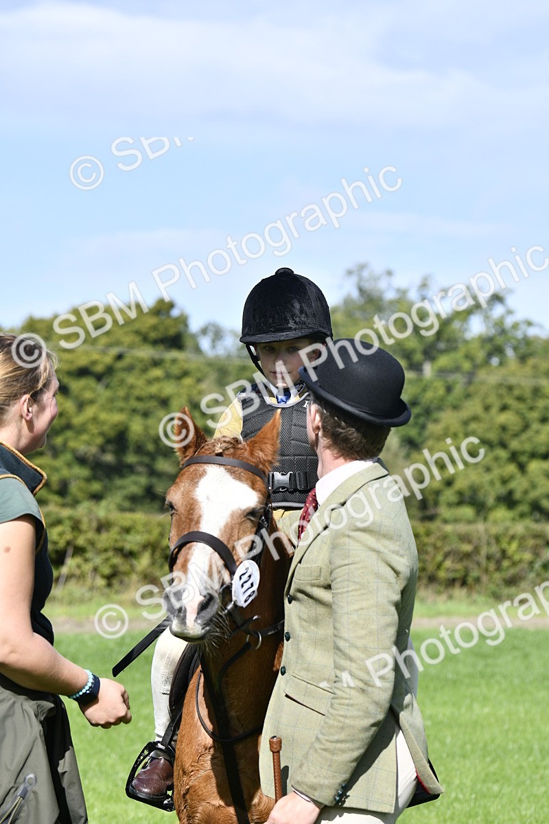 SBM_38236 - S31 - Novice & Newcomer Working Hunter Pony