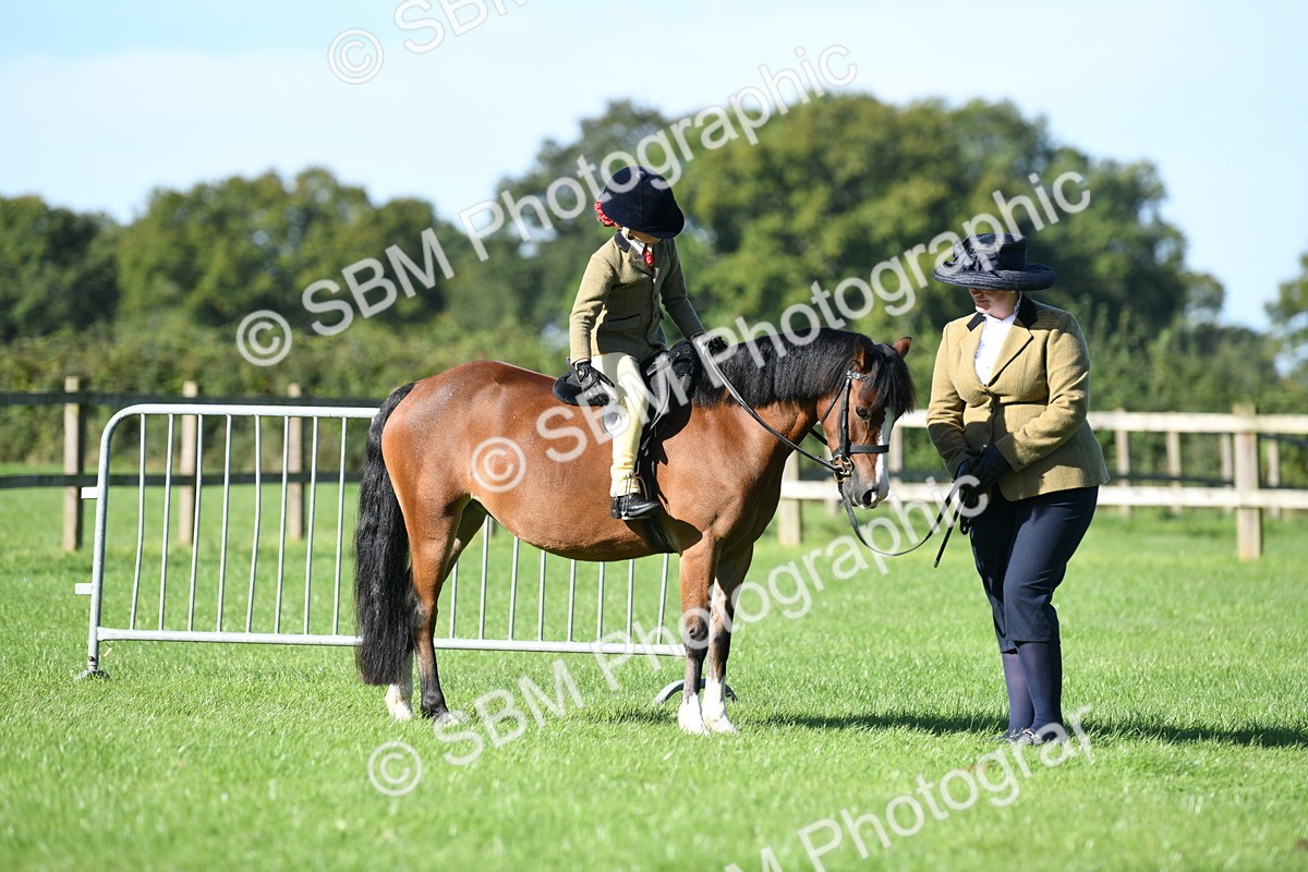 SBM_36767 - S18 - Novice & Newcomers Lead Rein Pony