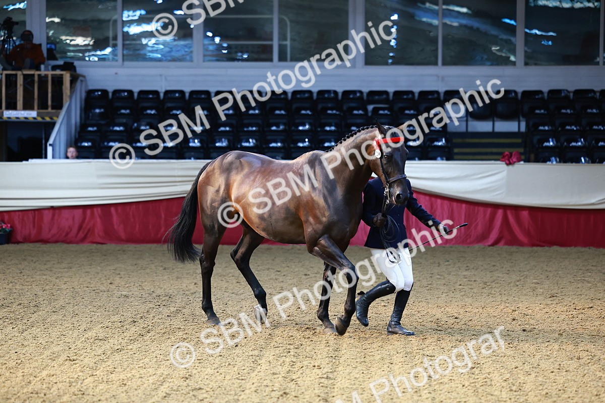 SBM_22164 - Class 902 - Supreme Final - IH Diamond