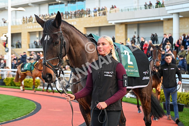 141224-Race 3-Coco Mademoiselle-0489 - Race 3