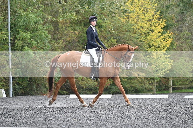 WJ7_6744 - Time 14:49 to 15:14