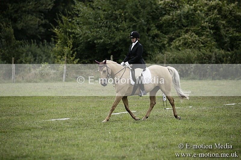 BVR080918 295 - BVRC Novice Dressage & CR 08/09/18