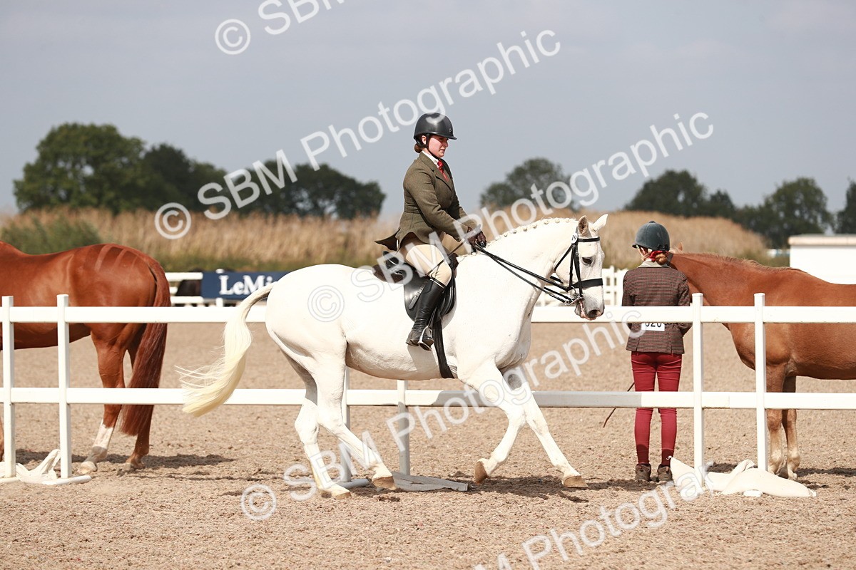 SBM_14831 - Class 212 Ridden Hunter - Small