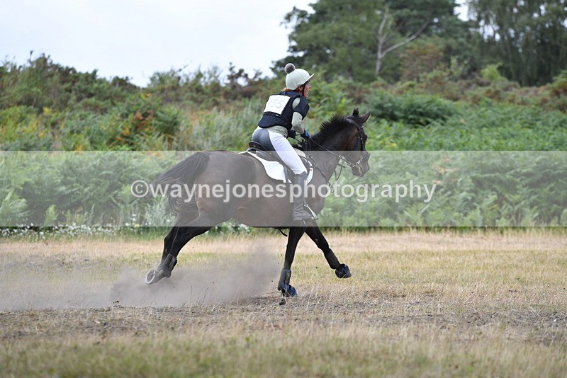 WJ5_1931 - XC Time 12:05 to 12:55