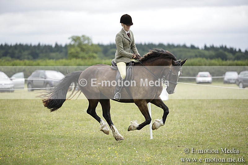 BVR160717-1323 - Ring 1 BVRC Show 16/07/17