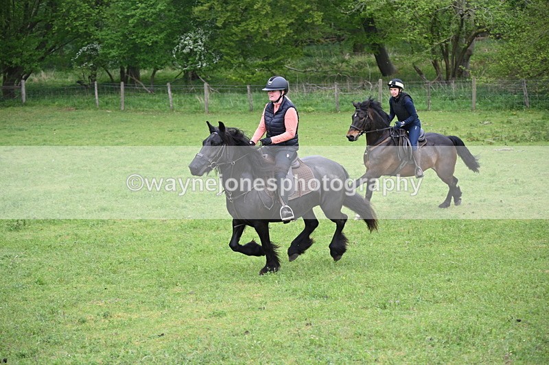 WJ6_2683 - A camera