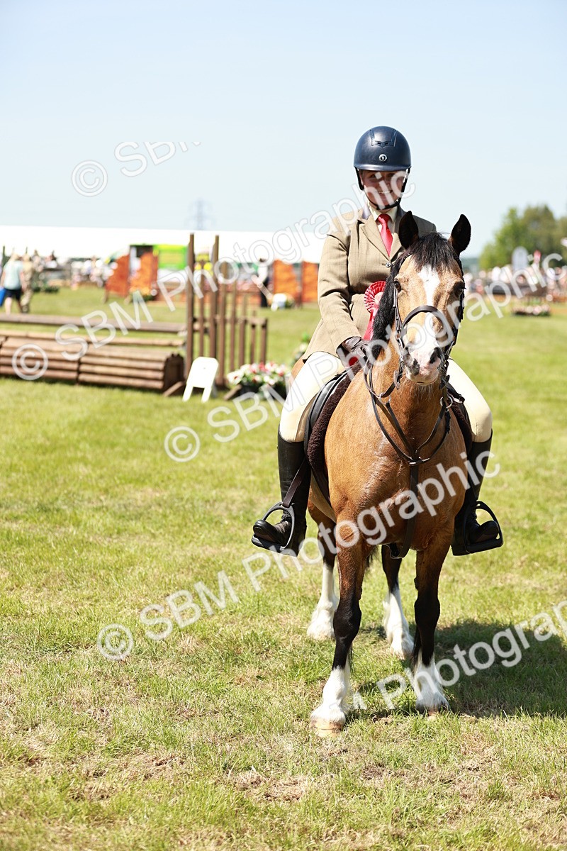 SBM_16411 - Class 110-111 - Training Stakes (70cms 80cms)