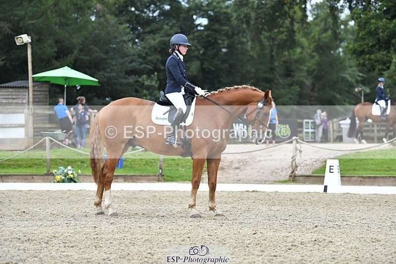 230812-113003-03639 - Cls 6 Novice Silver 10.30 to 11.55 break