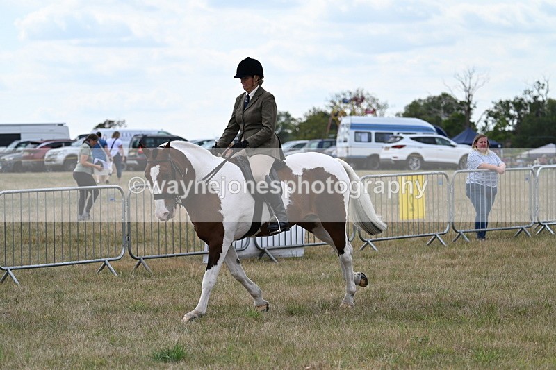 WJ7_5088 - Class 12 Ridden Cob