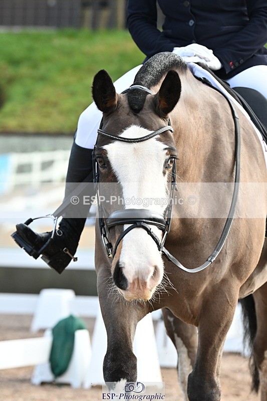 240218A-100420-04961 - 134-Abby.Hayes-Rathnagrew.Pride