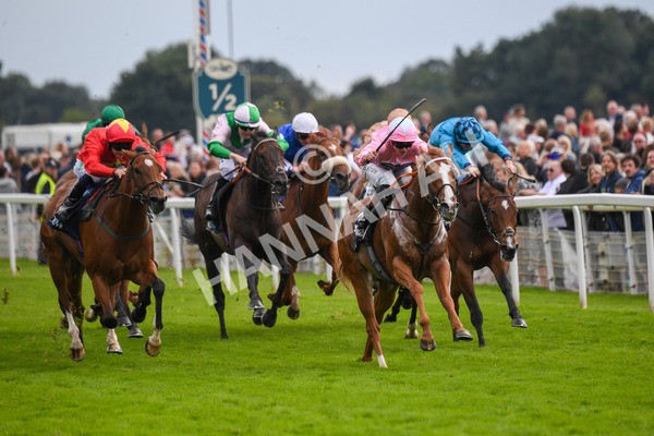 250823-Race 4-Live In The Dream-0650 - Race 4 3.35pm Coolmore Wootton Bassett Nunthorpe Stakes