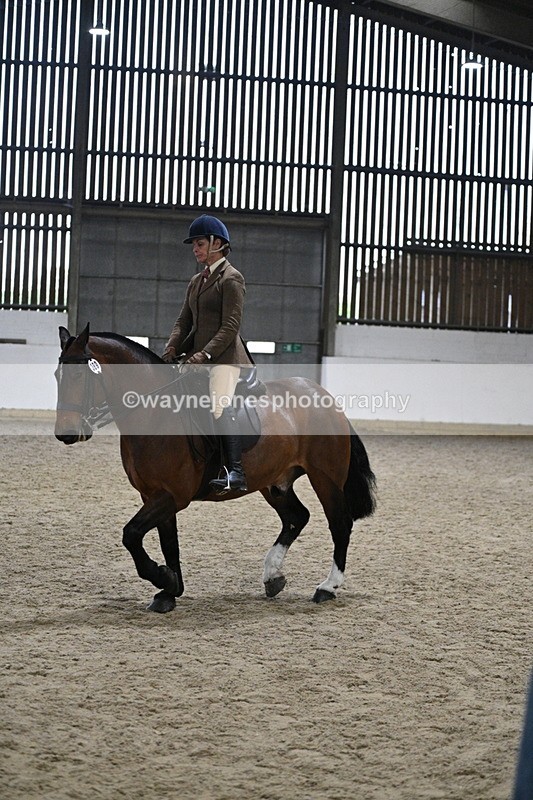 WJ7_3993 - Class 17 Ridden Cob