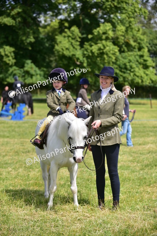 20260614-1285 - Class 11a - Lead Rein Pony (Unplaited)