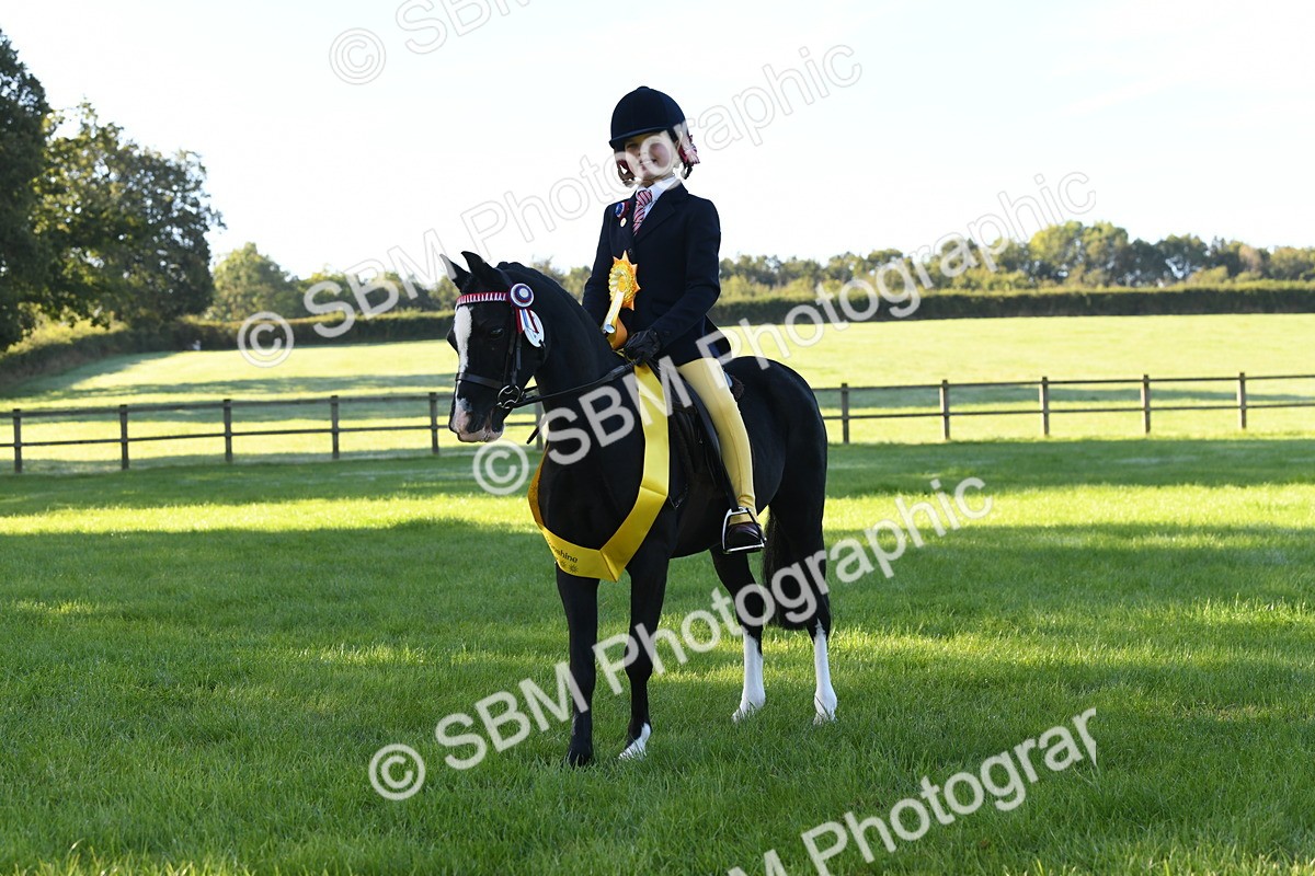 SBM_34094 - S16 - Condition & Turnout - Ridden