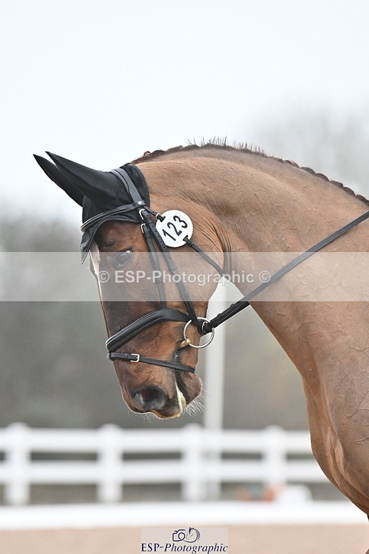 240217A-095222-00465 - 123-Daisy.Hedges-Felicia.v