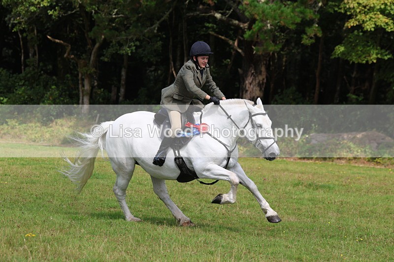 3E7A6119 - Working Hunter Championship